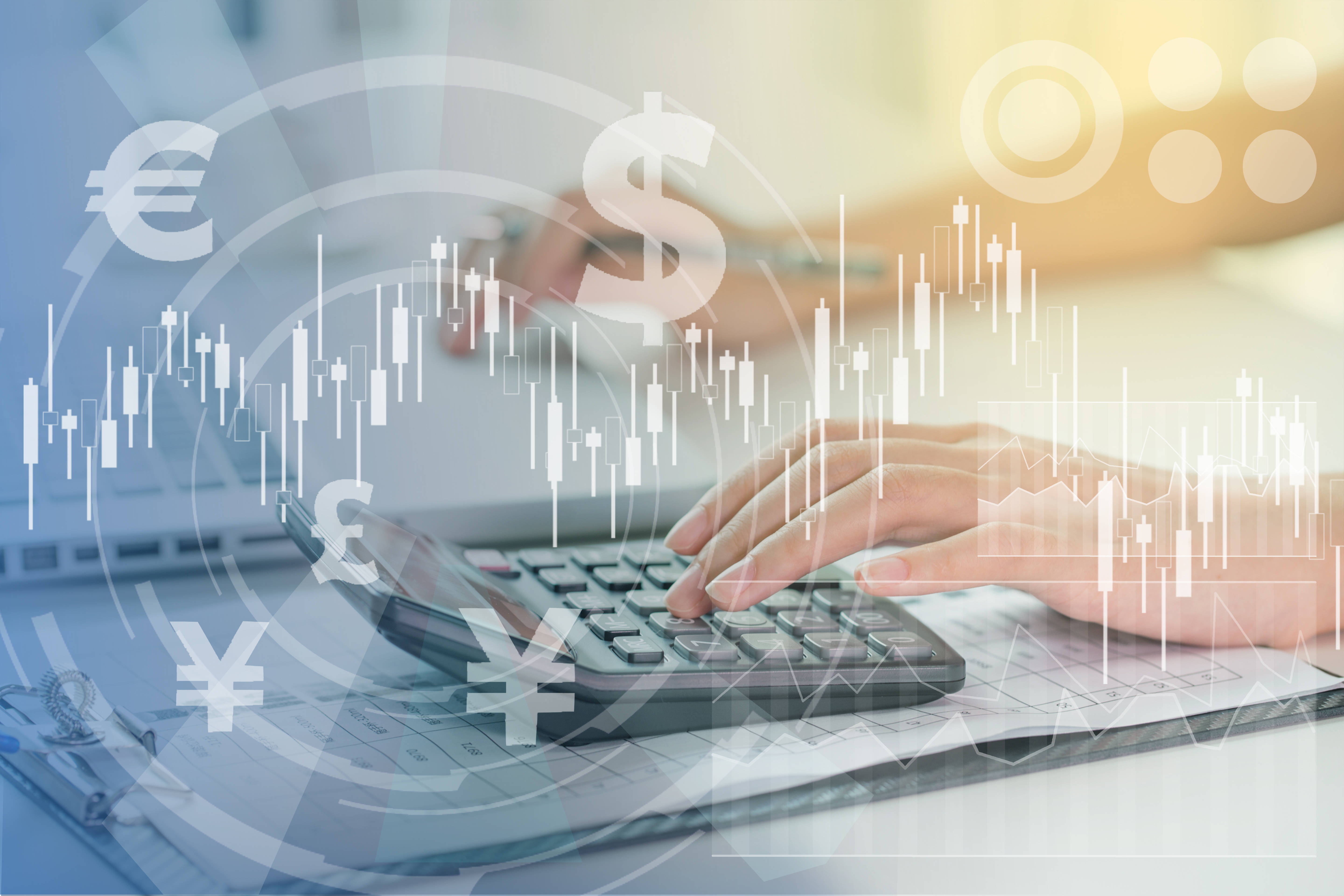 某上市公司财务管理优化项目